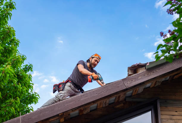 Asphalt Shingles Roofing in Oquawka, IL